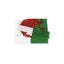 Welsh Wales Flag Carousel 6