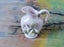***Tiny Treasures*** Miniature ornate ceramic jug. Carousel 1