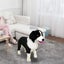 LARGE STANDING BORDER COLLIE 78 x 55cm - HOLDS 100KG Carousel 1