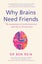 Why Brains Need Friends Carousel 1