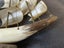 Vintage hand carved animal horn ship Carousel 11