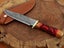 Amazing Hand Made Damascus Steel Hand Craving Colored Bone Handle Knife Carousel 5