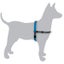 Black Dog Wear Balance Harness Dog Training Mini - XLarge 6 Colours FREE POSTAGE Carousel 1