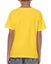 Kid's Heavy Cotton Youth T-Shirt, Custom T-Shirt printing, T-shirt printing Carousel 3