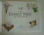 Family Tree Record Book Carousel 5