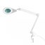 Large LED Magnifiying Equipoise Lamp Carousel 1
