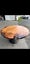 One Lot of Solid Ancient Swamp Kauri Offcuts (CNC-Cut Round Table Blanks) Carousel 17