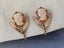 Antique 9ct Gold Cameo Earrings $1 Reserve Carousel 1