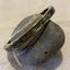 New Zealand Paua Shell Magnetic Bracelet. Carousel 3
