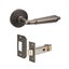 Zanda Oxford Door Lever Handle Graphite Nickel Carousel 1