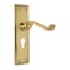 Tradco Milton Lever Door Handle on Long Backplate Polished Brass Carousel 1