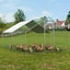 Large Chicken Coop with Roof Cover – 4×3×2m Carousel 9