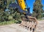 Used Yuchai YC230-8LC For Sale / Hire Carousel 6