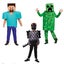 5-6-7-8-9y Minecraft dress up characters Carousel 1