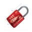 Kidzlabs Giant Visible Padlock Carousel 2