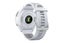 Garmin Forerunner 965 Smart Sports Watch (Titanium with Whitestone/Powder Grey Carousel 6