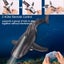 2.4G Remote Control Shark with Cool Lights Pool Toy for Kids Carousel 5