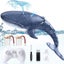 2.4G Remote Control Whale with Water Spraying & Light for Kids-Blue Carousel 1