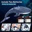 2.4G Remote Control Whale with Water Spraying & Light for Kids-Blue Carousel 3
