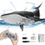 2.4G Remote Control Whale with Water Spraying & Light for Kids-Grey Carousel 1