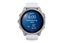 Garmin Fenix 8 AMOLED Smart Sports Watch (Silver with Whitestone Band, 43mm) Carousel 3