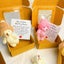 A little White Pocket Hug Bear in a Box Carousel 7