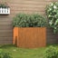 Vida Xl Vidaxl Planter 62X47x46 Cm Corten Steel Rusty Carousel 7