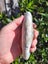 Semi-nephrite 540 grams Nelson Carousel 12