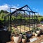 Glasshouse 4mm toughened glass 2570 x 3830 x 2320mm Carousel 1