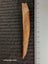 Fossil dorsal spine from a shark-like fish - 113mm long Carousel 2