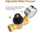 Water Pressure Regulator with Gauge Carousel 6