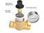 Water Pressure Regulator with Gauge Carousel 8