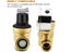 Water Pressure Regulator with Gauge Carousel 3