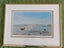Seascapes, HIGH QUALITY NZ PRINTS, x2 1) AUCKLAND HARBOUR 1895 & 2) HOWICK 1912 Carousel 7