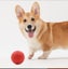 Free city shipping -1 pc Indestructible Rubber Dog Chew Ball - Large #EC104 Carousel 6