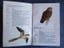 NEW ZEALAND BIRDS - BY MURDOCH RILEY (Girl Guides book) Carousel 2