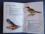 NEW ZEALAND BIRDS - BY MURDOCH RILEY (Girl Guides book) Carousel 3