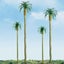 JTT: H0 Scale Palm Trees - 3 Pack Carousel 1