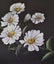 +++ ORIGINAL "D'ANNICK (E.B.A.P ) - DAISIES " PAINTING +++ Carousel 5
