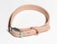 Wild One: Dog Collar - Blush (M) Carousel 1