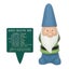 Blue Weather Forecasting Gnome - Large Carousel 1