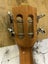 Lanikai ukulele QM-NACET Carousel 10