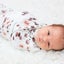 Lulujo: Muslin Bamboo Swaddle - Eucalyptus Carousel 5