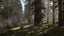 Red Dead Redemption 2 Carousel 4