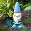 Blue Weather Forecasting Gnome - Large Carousel 2