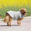 Petswol: Quick Drying Pet Bathrobe - Grey (M) Carousel 3