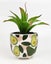 Urban Products: Avocado Planter - Green Carousel 2