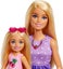 Barbie: Malibu Family & Friends Picnic-Themed - Playset Carousel 3