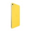 Smart Folio for iPad (10th generation) - Lemonade Carousel 3