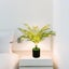 Artificial Plant Table Lamp - Lifelike Decorative Lighting Carousel 4